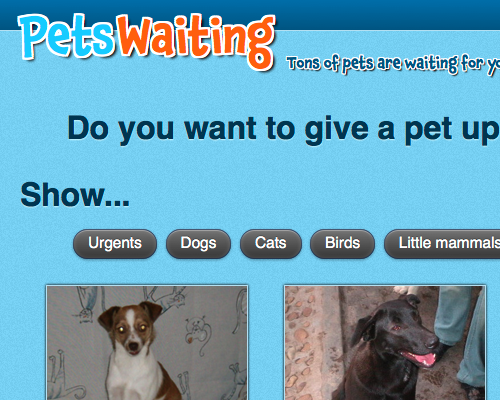 Pets-Waiting